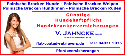 Polnische-Backen-Hunde